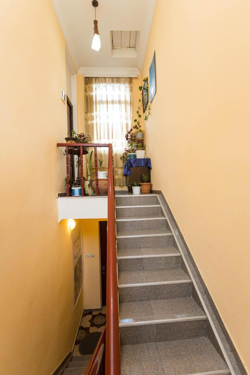 טביליסי Gis Guest House מראה חיצוני תמונה